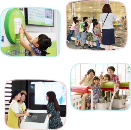 子どもから大人まで楽しめる見学内容