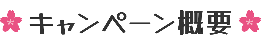 �L�����y�[���T�v