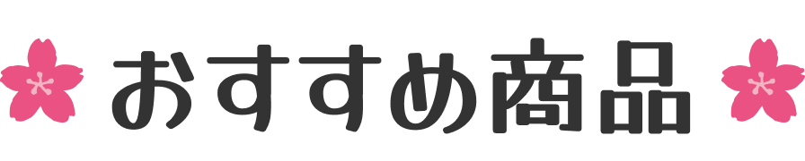 �������ߏ��i