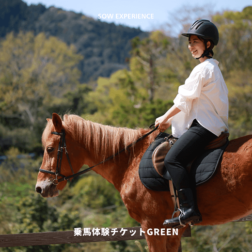 ��n�̌��M�t�g